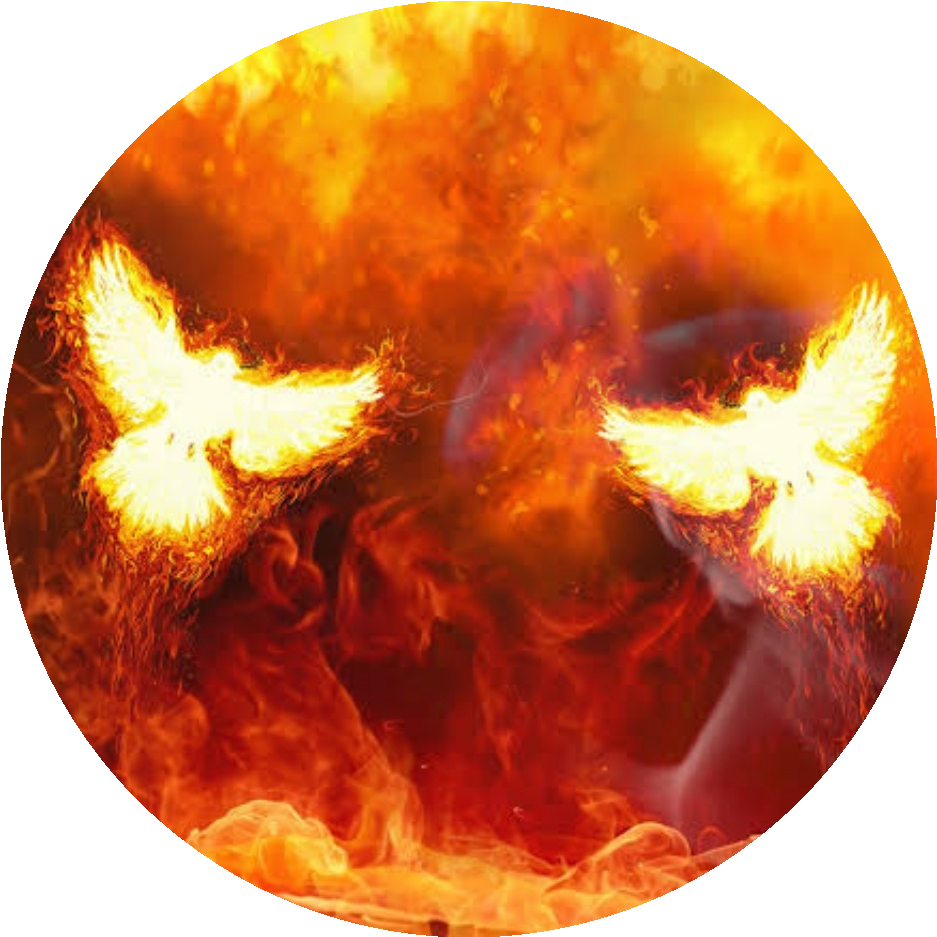 flamesofdissent.com